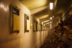 Air inlets play crucial role in ventilation