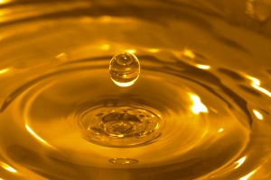 Skretting Australia uses poultry oil substitute in salmon feed