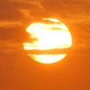 Will global warming force biodiversity?