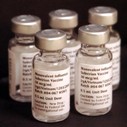 India’s Bird flu vaccine remains untouched
