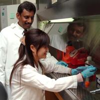 Poultry virus is possible cure for cancer
