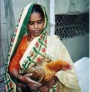 IFC supports women in the poultry sector