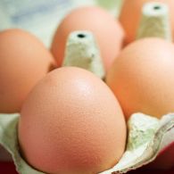 Summer: warm weather and pale eggs