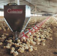 EU to lift ban on China’s poultry