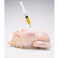 Too much water in Dutch chicken meat