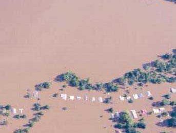 UK floods: shortage of drinking water for poultry