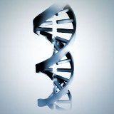 New technique to create genetically modified chickens
