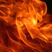 $10,000 reward in poultry blaze