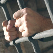 Seller of diseased poultry finally sent to jail