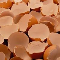 UK: levels of salmonella contamination measured