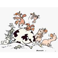 4th Int’l Workshop on the assessment of Animal Welfare