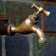 Water reduction puts pressure on poultry