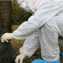 UK: thousands more slaughtered in sixth farm bird flu culling