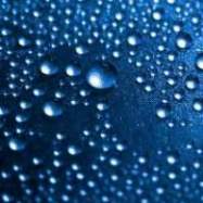 Electrolysed oxidised water sanitises poultry