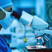New labs to fight bird flu in India