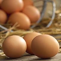 UK: 38% of consumers switched to free-range poultry