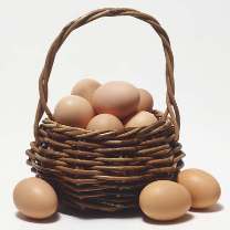 Free-range eggs taking the market by storm