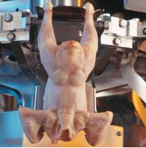 Brazilian meatpacker edges out Tyson to buy poultry processor