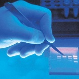 Bush’s proposed budget will damage poultry research