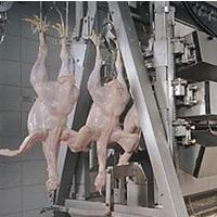 Cargill purchases turkey processor, but closes two plants