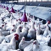 England hosts workshops to help farmers understand new legislation