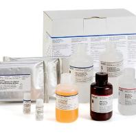 First USDA-licensed ELISA test kit for AI launched