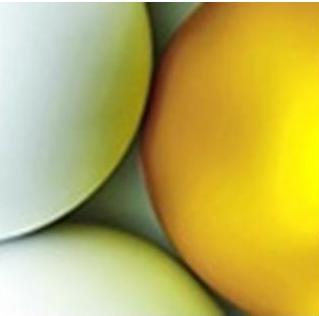 Top UK companies named ‘Good Eggs’