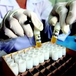 First trials for DNA-based avian flu vaccine