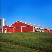 Soaring temperatures hit US poultry farmers