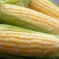Uganda’s exports leave no animal feed left