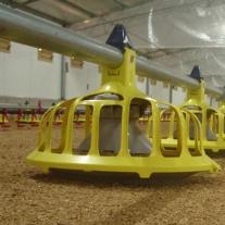 Over 1 bln broilers grown on HaiKoo from Roxell