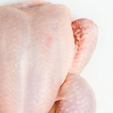 Irish poultry struggling under tough conditions