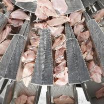 Screw-feeding multihead weighing for poultry processing