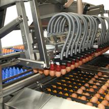 Moba introduces new egg loading concept