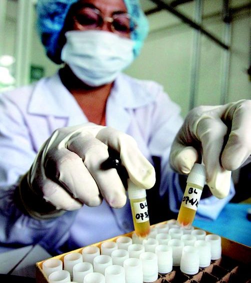 New vaccine against AI virus shows promise