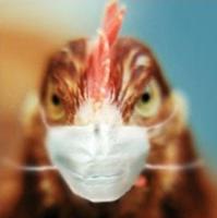 Dow Biocides to showcase glutex at IPE