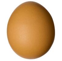 EU egg market becomes more competitive