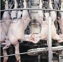 Turkey meat gaining popularity year-round