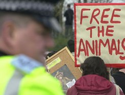 Extremist attacks on global food chain surge