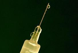 Human vaccine against bird flu a reality