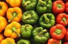 Plant extract research in poultry diets