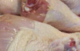 China challenging US poultry ban