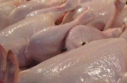 Turkey: Poultry exports, and hope, increasing
