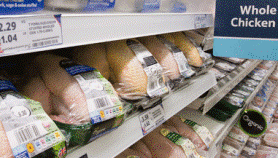Farm Sanctuary – report on “humane” meat labels