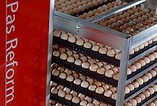 Cobb Vantress Brazil selects Smart incubation