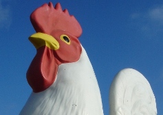 Grand opening of the National Poultry Museum