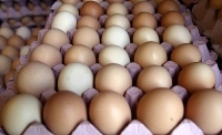 New food safety technology for eggs