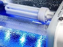 Agrilight introduces poultry barn light