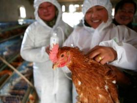 FDA clarifies in-feed drug orders by vets