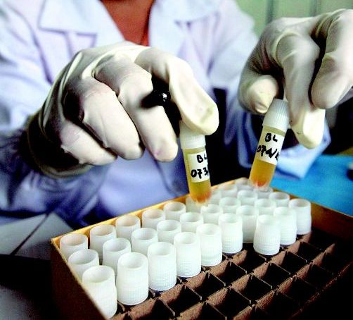US government spends $1 billion for bird flu vaccine development